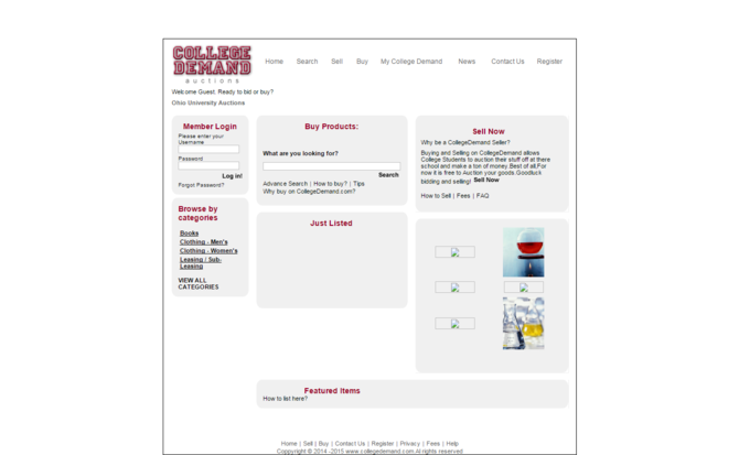 Show auction website script