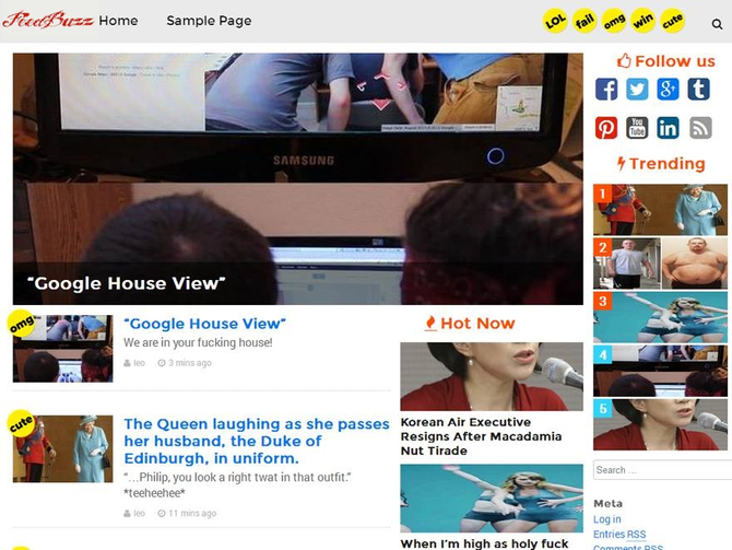 Show feedbuzz theme