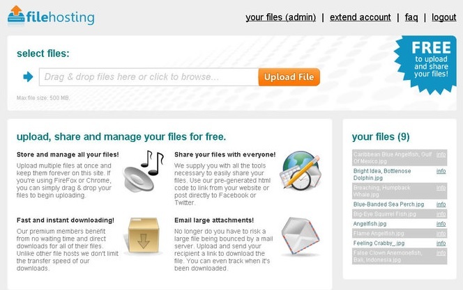 Show file hosting