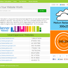 Website Value Calculator