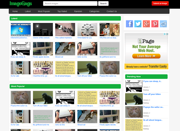 Show scriptfolder imagegags %e2%80%93 viral image sharing script