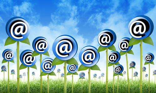 Show email marketing script