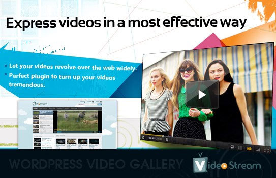 Show wordpress video gallery plugin