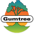 Gumtree